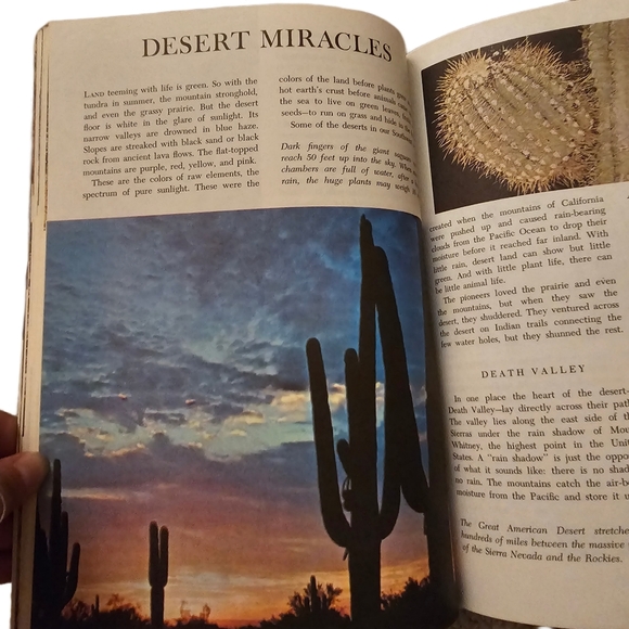 Vintage Walt Disney Worlds of Nature Book - Picture 8 of 11